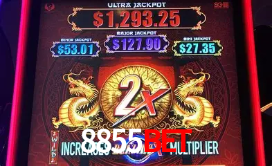 Descubra o Mundo do Cassino Online com 8855bet