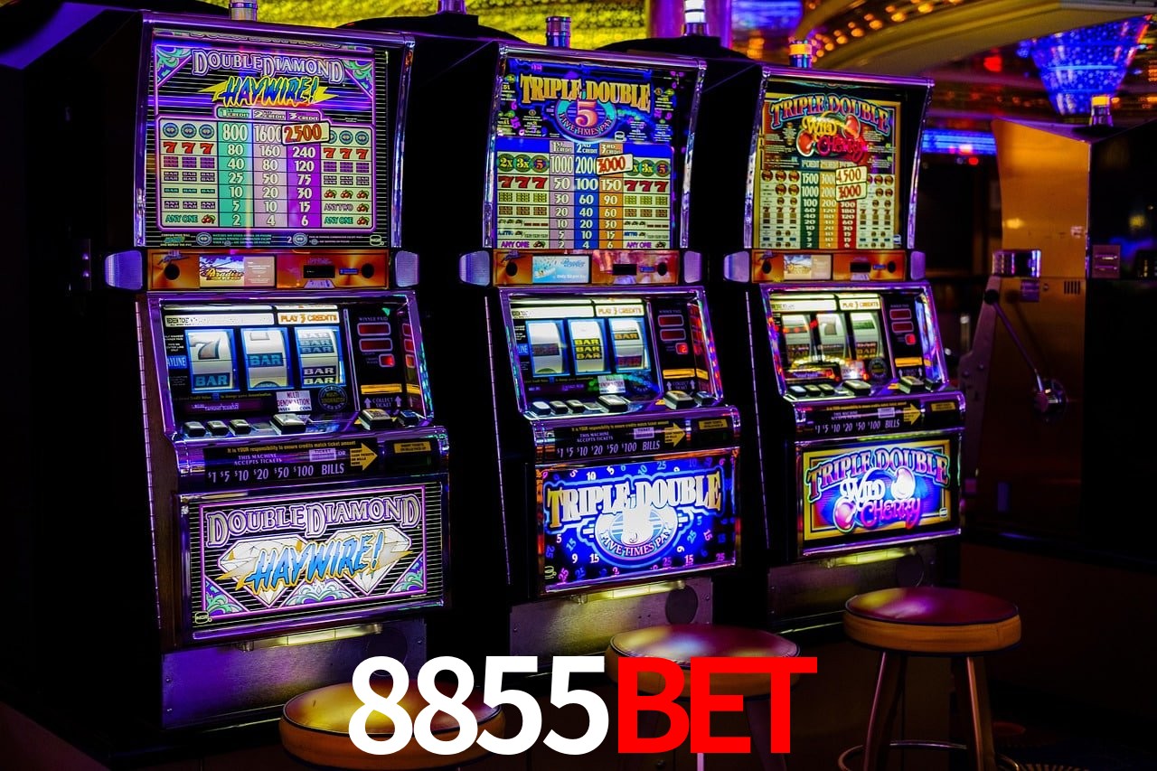 Torneios 8855bet